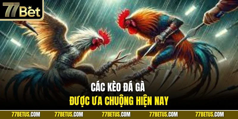 Các kèo đá gà được ưa chuộng hiện nay