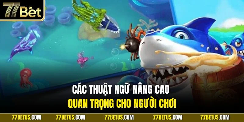 Các thuật ngữ nâng cao quan trọng cho người chơi