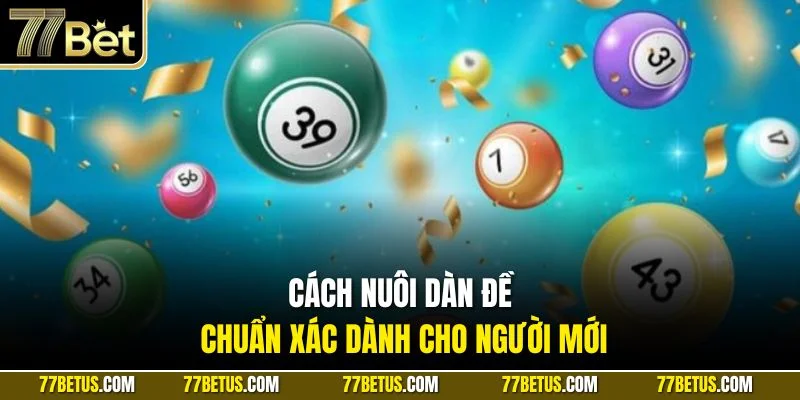 Cách nuôi dàn đề chuẩn xác dành cho người mới