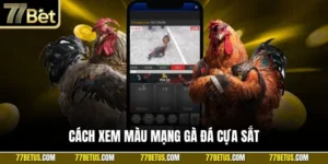 Cách xem màu mạng gà đá cựa sắt