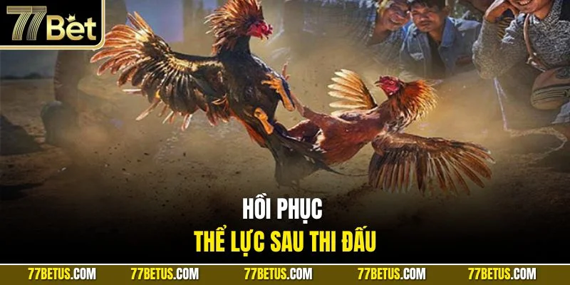 Hồi phục thể lực sau thi đấu