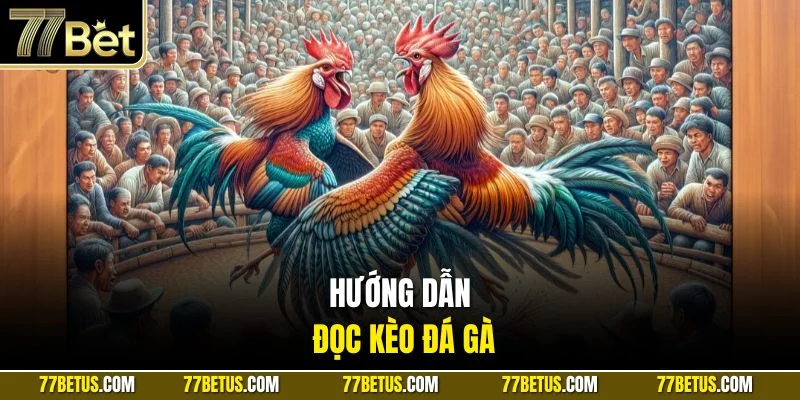 Hướng dẫn đọc kèo đá gà