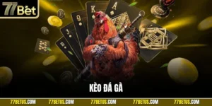 Kèo đá gà