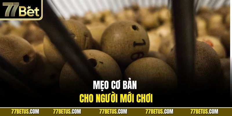 Mẹo cơ bản cho người mới chơi