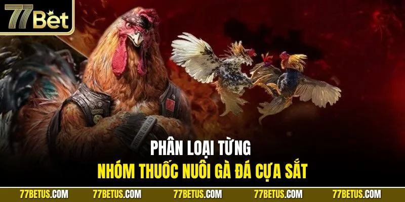 Phân loại từng nhóm thuốc nuôi gà đá cựa sắt