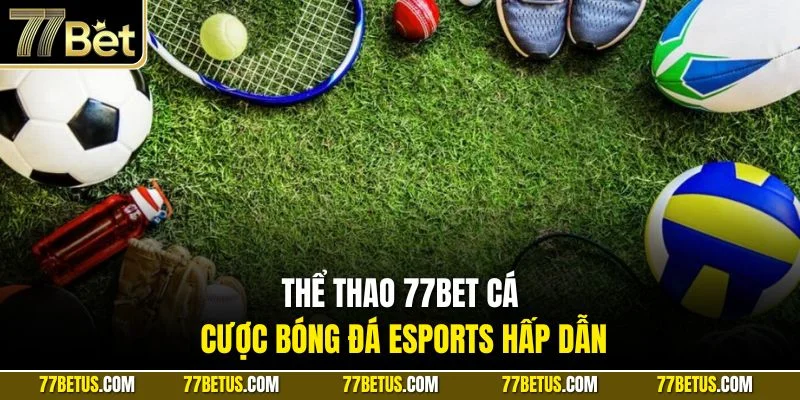 Thể thao 77Bet cá cược bóng đá eSports hấp dẫn