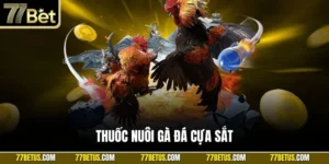 Thuốc nuôi gà đá cựa sắt