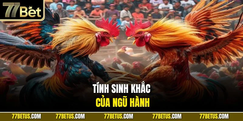 Tính sinh khắc của ngũ hành